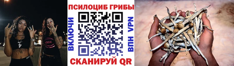 Галлюциногенные грибы мицелий  Купить  Выборг 