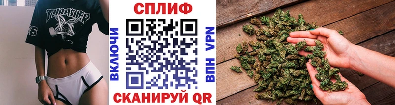 Купить где Выборг Канабис индика